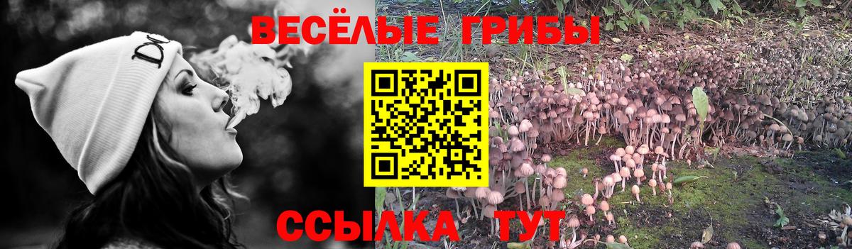 ЭКСТАЗИ  Чистополь  Мефедрон кристаллы  LSD-25  Героин  Вход с VPN  ГАШ  ГАШИШ  COCAIN  Конопля 