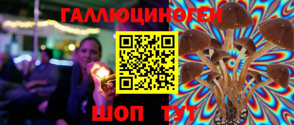 Галлюциногенные грибы Psilocybe  Вход с VPN  Чистополь 
